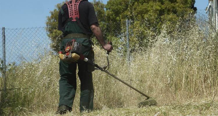 Εκατοντάδες συστημένες επιστολές για τον καθαρισμό οικοπέδων από τον Δήμο Πεντέλης προς τους ιδιοκτήτες
