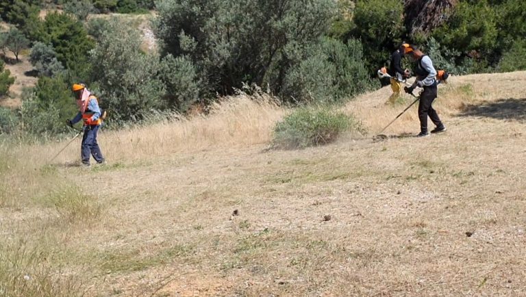 Καθορισμός οικοπέδων λόγω αντιπυρικής – Άνοιξε η ηλεκτρονική πλατφόρμα δήλωσής του – Δήμος Χαλανδρίου