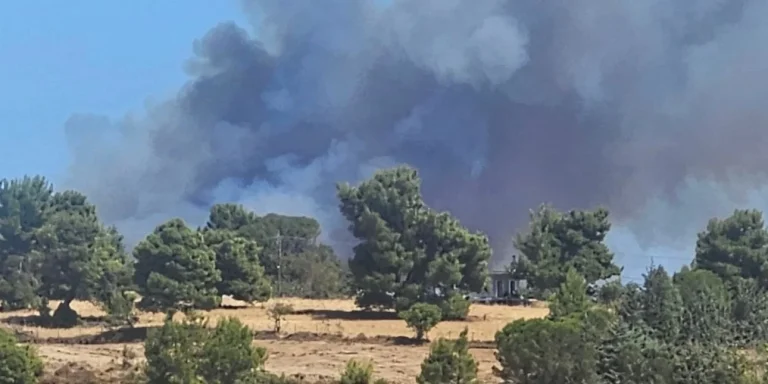 Μεταφορά καπνού και στάχτης εξαιτίας της φωτιάς στον Βαρνάβα – Penteli