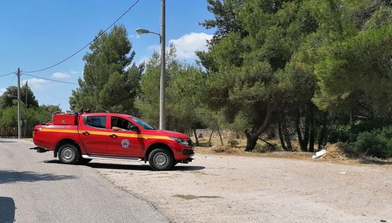 Σε επιφυλακή και ετοιμότητα ο Δήμος Αμαρουσίου, λόγω υψηλού κινδύνου πυρκαγιάς – Δήμος Αμαρουσίου