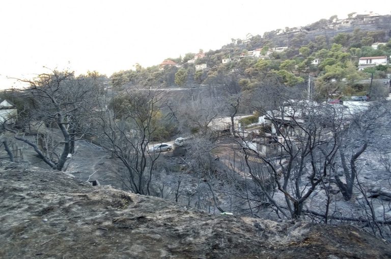 Παρατείνεται η λειτουργία της πλατφόρμας arogi.gov.gr για τους πυρόπληκτους της Αττικής – Δήμος Χαλανδρίου