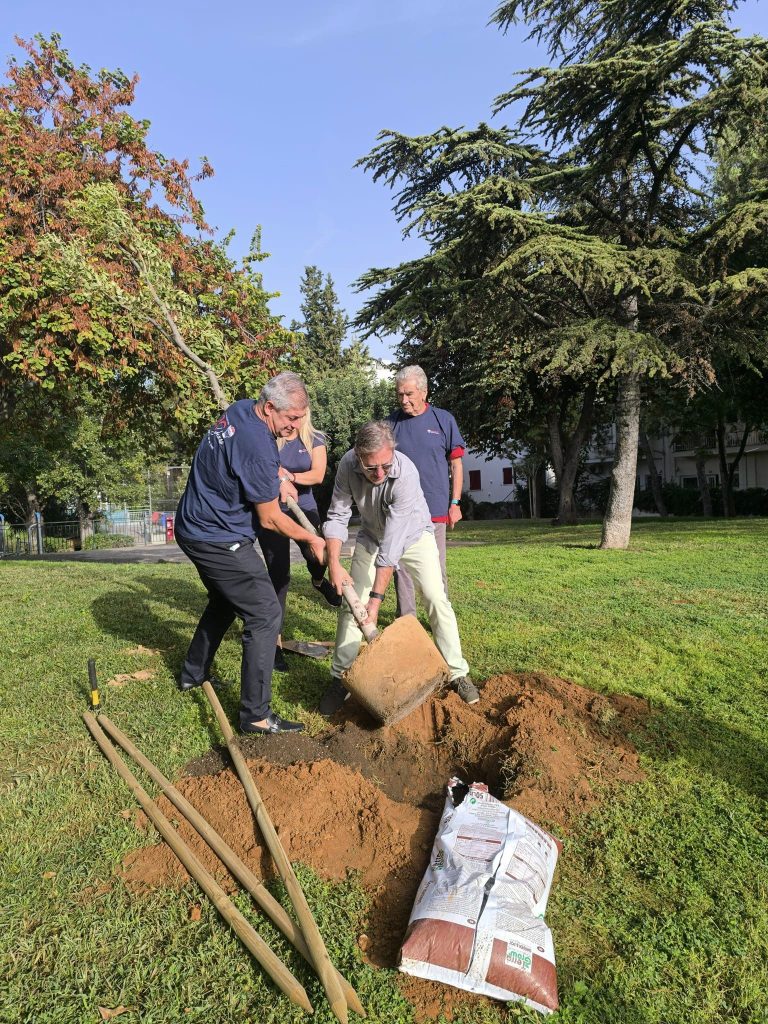 Νέες φυτεύσεις δέντρων στο Πάρκο Αποστολοπούλου στο Κάτω Χαλάνδρι – Δήμος Χαλανδρίου