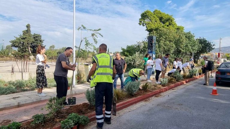 Νέες φυτεύσεις φυτών και δένδρων ομορφαίνουν και αναβαθμίζουν τον ποδηλατοδρόμο του Πολύδροσου – Δήμος Αμαρουσίου
