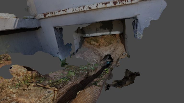 Το δημόσιο πρόγραμμα της έκθεσης «το συλλογικό γουργουρητό» 15 & 17 Νοεμβρίου 2024  – Δήμος Χαλανδρίου