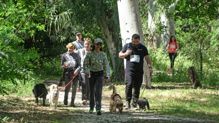 «Κυνηγώντας την ουρά μας» – Εκδήλωση δυναμικού βαδίσματος με ζώα συντροφιάς, στο Χαλάνδρι – Δηλώστε συμμετοχή! – Δήμος Χαλανδρίου
