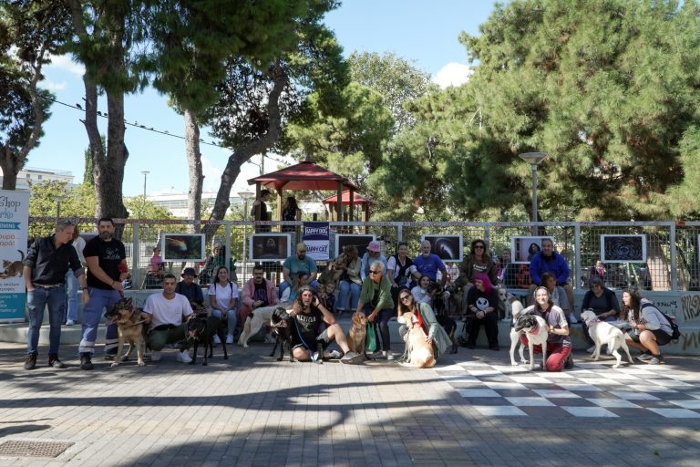 Το Χαλάνδρι γιόρτασε την Παγκόσμια Ημέρα των Ζώων με μια δράση υιοθεσίας – Δήμος Χαλανδρίου