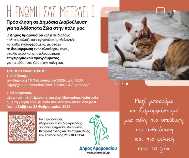 Πρόσκληση σε Δημόσια Διαβούλευση για τα Αδέσποτα Ζώα στην πόλη μας – Δήμος Αμαρουσίου