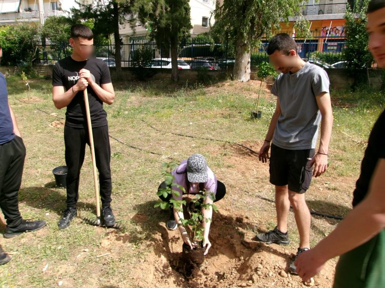 Με επιτυχία ολοκληρώθηκε η 3η δράση φύτευσης «Act Green» στο 2ο Λύκειο Αμαρουσίου από το Forum Νέων. – Δήμος Αμαρουσίου